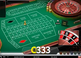 VIP Casino C333